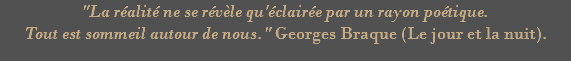 "La réalité ne se révèle qu'éclairée par un rayon poétique. Tout est sommeil autour de nous." Georges Braque (Le jour et la nuit). 