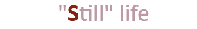  "Still" life