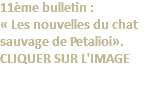 11ème bulletin : « Les nouvelles du chat sauvage de Petalioi». CLIQUER SUR L'IMAGE 