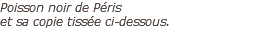 Poisson noir de Péris  et sa copie tissée ci-dessous.